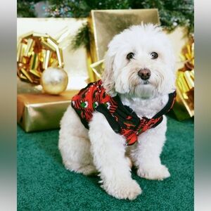 Pup Gnome for the Holidays Dog Hoodie Black/Red Size Medium